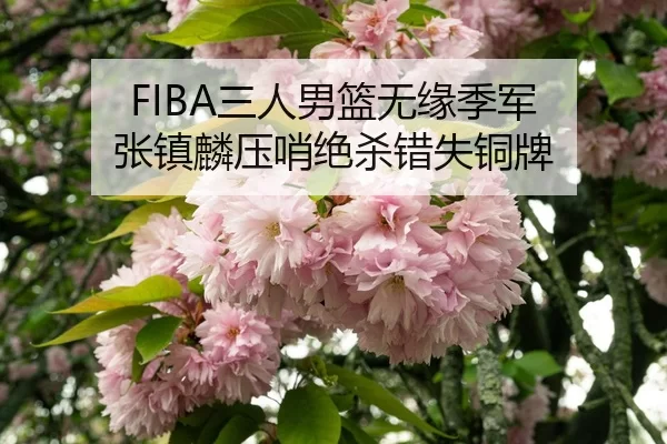 FIBA三人男篮无缘季军 张镇麟压哨绝杀错失铜牌